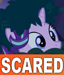 Size: 341x403 | Tagged: safe, edit, edited screencap, imported from derpibooru, screencap, starlight glimmer, pony, unicorn, to where and back again, bush, bushanka, bushicorn, caption, cute, expand dong, exploitable meme, female, glimmerbetes, mare, meme, scared, solo, tony kornheiser