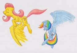 Size: 4717x3228 | Tagged: safe, artist:titankore, imported from derpibooru, fluttershy, rainbow dash, flying, traditional art