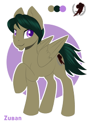 Size: 950x1298 | Tagged: safe, artist:peridotkitty, artist:silkensaddle, imported from derpibooru, oc, oc only, oc:zuban, pegasus, pony, fallout equestria, dashite, simple background, solo, transparent background