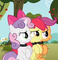 Size: 692x720 | Tagged: safe, edit, edited screencap, imported from derpibooru, screencap, apple bloom, scootaloo, sweetie belle, earth pony, pegasus, pony, unicorn, adorabloom, behaving like a dog, bow, collar, cute, cutealoo, cutie mark crusaders, diasweetes, filly, hair bow, pony pet