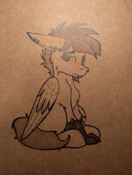 Size: 960x1280 | Tagged: safe, artist:php122, artist:wingedthoughts, imported from derpibooru, oc, oc only, oc:wingedthoughts, hippogriff, chest fluff, ear fluff, ear piercing, fluffy, ink, inktober, inktober 2016, monochrome, photo, piercing, ring, sad, solo, traditional art