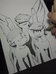 Size: 2448x3264 | Tagged: safe, artist:lrusu, imported from derpibooru, rainbow dash, soarin', oc, pony, inktober, irl, monochrome, photo, traditional art