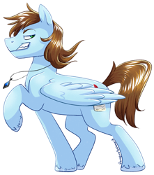 Size: 1583x1789 | Tagged: safe, artist:vampireselene13, imported from derpibooru, oc, oc only, oc:sorren, pegasus, pony, jewelry, male, necklace, profile, raised eyebrow, smirk, smug, solo, unshorn fetlocks