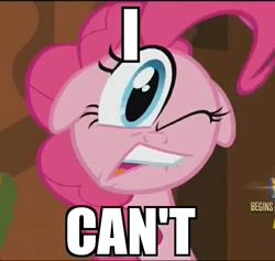 Size: 641x608 | Tagged: safe, edit, edited screencap, imported from derpibooru, screencap, pinkie pie, season 5, the one where pinkie pie knows, caption, faic, female, floppy ears, great moments in animation, i can't, image macro, lip bite, meme, one eye closed, open mouth, ponk, solo, wat, wink