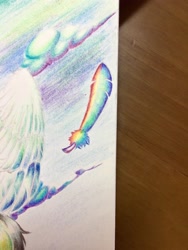 Size: 3024x4032 | Tagged: safe, artist:adetuddymax, imported from derpibooru, feather, rainbow