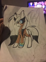Size: 1024x1365 | Tagged: safe, artist:umiimou, imported from derpibooru, oc, oc only, earth pony, pony, photo, solo, television, traditional art