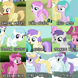 Size: 753x753 | Tagged: safe, edit, edited screencap, imported from derpibooru, screencap, alula, aura (character), cotton cloudy, dinky hooves, liza doolots, noi, petunia, piña colada, pluto, ruby pinch, tootsie flute, tornado bolt, earth pony, pegasus, pony, unicorn, call of the cutie, lesson zero, the cutie pox, the mysterious mare do well, winter wrap up, artifact, aura (g4), background pony, background pony chart, collage, cropped, female, filly, foal, naming, old names, piña cutelada