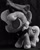 Size: 799x1000 | Tagged: safe, artist:appledew, imported from derpibooru, princess luna, moonstuck, cartographer's cap, female, filly, hat, irl, photo, plushie, solo, woona, younger