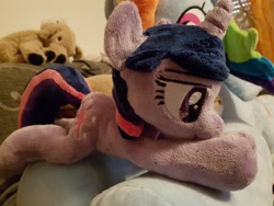 Size: 4032x3024 | Tagged: safe, artist:alayasyazoo, imported from derpibooru, rainbow dash, twilight sparkle, irl, photo, plushie, solo focus