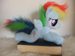 Size: 4000x3000 | Tagged: safe, artist:masha05, imported from derpibooru, rainbow dash, book, female, filly, filly rainbow dash, irl, photo, plushie, prone, solo