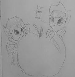 Size: 1054x1081 | Tagged: safe, artist:tjpones, imported from derpibooru, applejack, fluttershy, bat pony, pony, apple, appul, cute, flutterbat, food, giant apple, monochrome, race swap, sketch, that pony sure does love apples, tjpones is trying to murder us