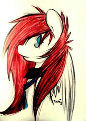 Size: 730x1024 | Tagged: safe, artist:tamyarts, imported from derpibooru, oc, oc only, oc:bailey, pegasus, pony, bust, colored, female, necktie, on side, portrait, side, solo, traditional art