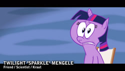 Size: 1920x1080 | Tagged: safe, artist:hotdiggedydemon, imported from derpibooru, twilight sparkle, .mov, party.mov, female, german, josef mengele, pony.mov, solo