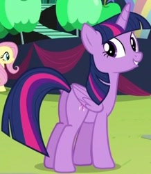 Size: 288x330 | Tagged: safe, imported from derpibooru, screencap, fluttershy, twilight sparkle, alicorn, pony, the mane attraction, butt, cropped, female, mare, plot, solo focus, twibutt, twilight sparkle (alicorn)