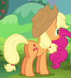 Size: 500x546 | Tagged: safe, imported from derpibooru, screencap, applejack, pinkie pie, earth pony, pony, the mane attraction, butt, cropped, female, freckles, mare, offscreen character, plot, solo focus