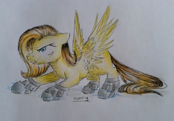 Size: 2427x1690 | Tagged: safe, artist:coffytacotuesday, imported from derpibooru, oc, oc only, oc:psychoshy, pegasus, pony, fallout equestria, fallout equestria: project horizons, clothes, female, mare, power hoof, shoes, solo, traditional art