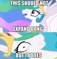 Size: 847x873 | Tagged: safe, imported from derpibooru, princess celestia, princess molestia, donkey kong, expand dong, exploitable meme, female, meme, parody, solo