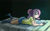 Size: 1069x671 | Tagged: safe, artist:kprovido, imported from derpibooru, fluttershy, human, bed, clothes, female, humanized, prone, shirt, socks, solo, striped socks, t-shirt, video game