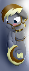 Size: 1000x2434 | Tagged: safe, artist:silver--pen, imported from derpibooru, oc, oc only, oc:silver pen, blushing, bridle, collar, cute, dog collar, i forgot the damn wings again, lineless, new style, solo, tack