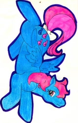 Size: 382x600 | Tagged: safe, artist:skypinpony, imported from derpibooru, wind whistler, female, g1, solo, traditional art