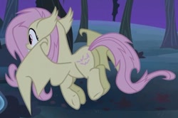 Size: 529x351 | Tagged: safe, imported from derpibooru, screencap, fluttershy, bat pony, pony, bats!, butt, cropped, female, flutterbat, flutterbutt, mare, plot, race swap, solo