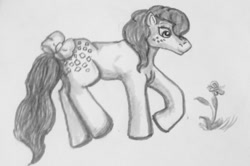 Size: 1000x662 | Tagged: safe, artist:alicornmoonstar, imported from derpibooru, cotton candy (g1), earth pony, pony, bow, female, flower, g1, grayscale, monochrome, solo, traditional art