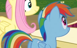 Size: 466x294 | Tagged: safe, imported from derpibooru, screencap, fluttershy, rainbow dash, pony, too many pinkie pies, butt, cropped, female, mare, plot