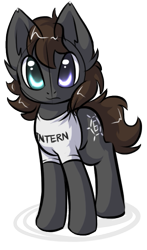 Size: 381x646 | Tagged: safe, artist:sapphfyr, imported from derpibooru, oc, oc only, oc:intern, pony, simple background, solo, transparent background