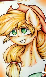 Size: 1296x2160 | Tagged: safe, artist:zefirka, imported from derpibooru, applejack, bust, chest fluff, female, grin, portrait, smiling, solo, traditional art