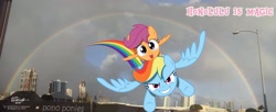 Size: 3199x1310 | Tagged: safe, artist:newportmuse, imported from derpibooru, rainbow dash, scootaloo, facebook header, hawaii, haywaii, honolulu, irl, photo, ponies in real life, rainbow, scootaloo can fly, scootalove, teary eyes, vector