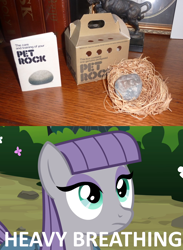 Size: 1024x1400 | Tagged: safe, imported from derpibooru, maud pie, female, heavy breathing, maud pie may or may not be amused, maud pie may or may not be aroused, obligatory pony, pet rock, rock, solo