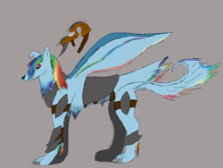 Size: 1600x1200 | Tagged: safe, artist:z-010, imported from derpibooru, rainbow dash, dog, armor, dogified, female, helmet, solo, species swap, winged dog