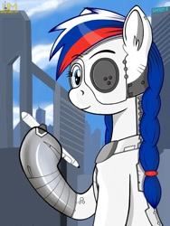 Size: 750x1000 | Tagged: safe, artist:negasun, imported from derpibooru, oc, oc only, oc:marussia, cyborg, city, nation ponies, ponified, russia, solo