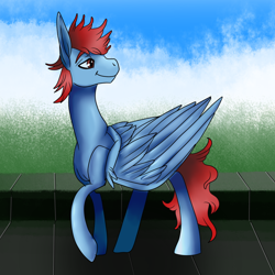 Size: 1024x1024 | Tagged: safe, artist:brainiac, imported from derpibooru, oc, oc only, pegasus, pony, bust, full body, large wings, male, portrait, solo, stallion, wings