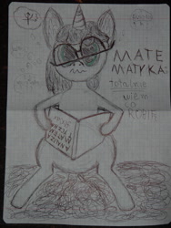 Size: 1957x2601 | Tagged: artist needed, safe, imported from derpibooru, oc, oc only, math, polish, solo