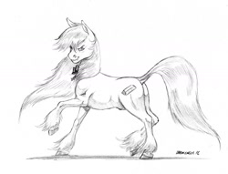 Size: 1400x1069 | Tagged: safe, artist:baron engel, imported from derpibooru, oc, oc only, pony, dock, fabio lanzoni, glare, grayscale, looking at you, monochrome, pencil drawing, ponified, raised hoof, raised leg, simple background, sketch, smirk, solo, traditional art, unshorn fetlocks, white background, windswept mane