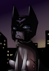 Size: 500x732 | Tagged: safe, artist:elijah, artist:fuzzpower, imported from derpibooru, oc, oc only, oc:aryanne, bat, earth pony, pony, batman, cape, city, clothes, female, frown, heart, looking away, mask, nazi, night, sitting, solo, superhero, swastika