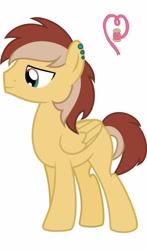 Size: 684x1167 | Tagged: artist needed, source needed, safe, imported from derpibooru, oc, oc only, oc:lace works, pegasus, pony, piercing, simple background, solo, vector, white background