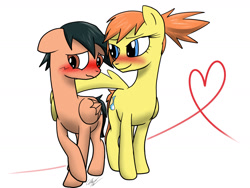 Size: 1600x1200 | Tagged: safe, artist:wolftendragon, imported from derpibooru, pegasus, pony, ash ketchum, blushing, hug, male, misty, misty (pokémon), pokémon, ponified, shipping, straight, winghug