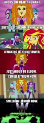 Size: 342x960 | Tagged: safe, edit, edited screencap, imported from derpibooru, screencap, adagio dazzle, aria blaze, sonata dusk, sunset shimmer, twilight sparkle, equestria girls, rainbow rocks, battle of the bands, cropped, exploitable meme, ghost in the shell, ghost in the shell: stand alone complex, image macro, lyrics, meme, mouth hold, negative energy, singing, song reference, text, the dazzlings, under our spell, yoko kanno