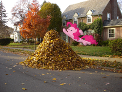 Size: 1280x960 | Tagged: safe, artist:harpycross, imported from derpibooru, pinkie pie, earth pony, pony, autumn, autumn leaves, bush, female, grass, house, irl, jumping, leaf, leaf pile, leaves, mare, photo, photoshop, ponies in real life, solo, street, tree, vector