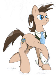 Size: 589x800 | Tagged: safe, artist:stec-corduroyroad, imported from derpibooru, oc, oc only, earth pony, pony, blue eyes, collar, collar tie, cufflinks, cuffs (clothes), male, mayor, necktie, politics, simple background, solo, stallion, white background