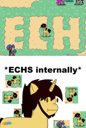 Size: 1024x1528 | Tagged: safe, artist:thelightning1, imported from derpibooru, screencap, oc, oc only, pony, pony town, 1000 hours in ms paint, ech, jontron, ms paint, screenshots