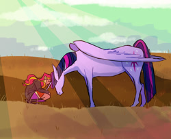 Size: 1280x1040 | Tagged: safe, artist:stevetwisp, imported from derpibooru, sunset shimmer, twilight sparkle, horse, equestria girls, alternate universe, crepuscular rays, eyes closed, head down, hoers, smiling, squatting, twilight sparkle (alicorn)