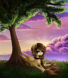 Size: 900x1025 | Tagged: safe, artist:likelike1, imported from derpibooru, oc, oc only, pegasus, pony, cloud, collar, grass, prone, solo, tree