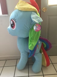 Size: 375x500 | Tagged: safe, imported from derpibooru, rainbow dash, pony, 42 inches, hasbro, irl, official, photo, plushie, solo