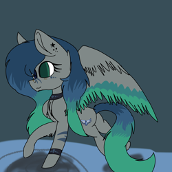 Size: 2000x2000 | Tagged: safe, artist:brokensilence, imported from derpibooru, oc, oc only, pegasus, pony, adoptable, cute, ota, solo