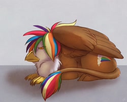 Size: 2231x1791 | Tagged: safe, artist:lady-darkstreak, imported from derpibooru, oc, oc only, oc:rainbow feather, griffon, interspecies offspring, magical lesbian spawn, offspring, parent:gilda, parent:rainbow dash, parents:gildash, prone, quadrupedal, solo