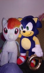 Size: 672x1120 | Tagged: safe, artist:yoshiangemon, imported from derpibooru, rainbow dash, build-a-bear, crossover, cute, irl, photo, plushie, sonic the hedgehog, sonic the hedgehog (series)