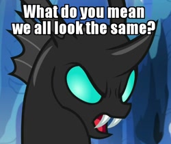 Size: 558x468 | Tagged: safe, edit, edited screencap, imported from derpibooru, screencap, thorax, changeling, the times they are a changeling, angry, caption, image macro, male, meme, racism, solo